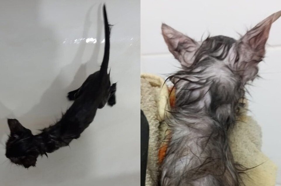     Фото: Предоставлено Маргарита Галанцевой.