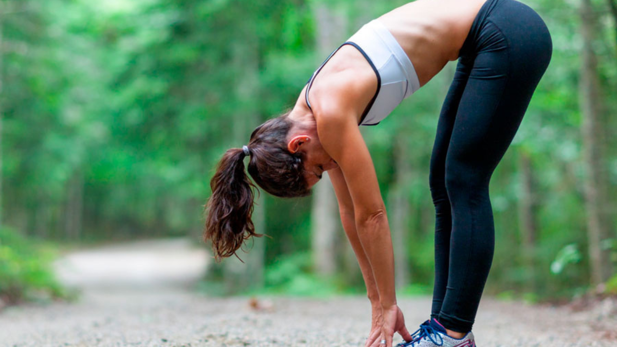 Растяжка мышц спины, основные упражнения и способы применения | FIT FOR FUN  | Дзен