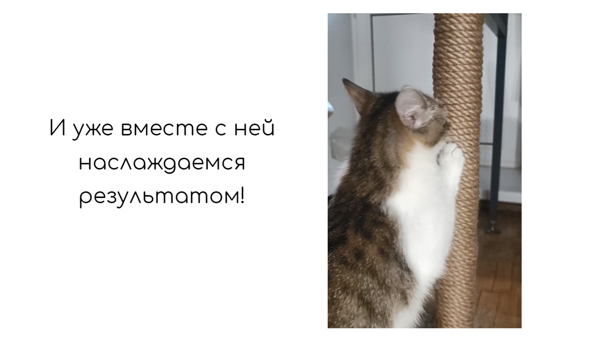 Столбик-лежанка для кошки своими руками. | Из квартиры в дом | Дзен