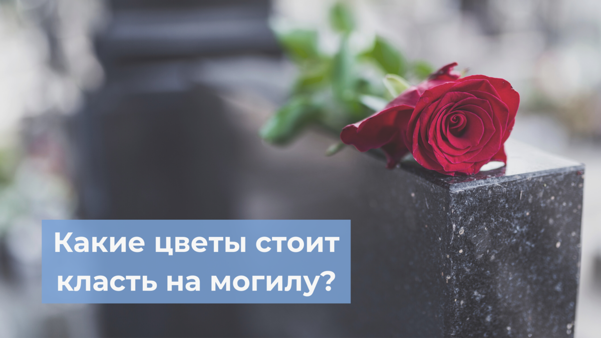 Какие цветы стоит класть на могилу? | Эпитафия Москва | Дзен