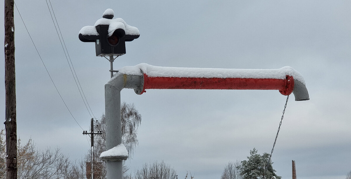 Фото: Алексей Алексеев