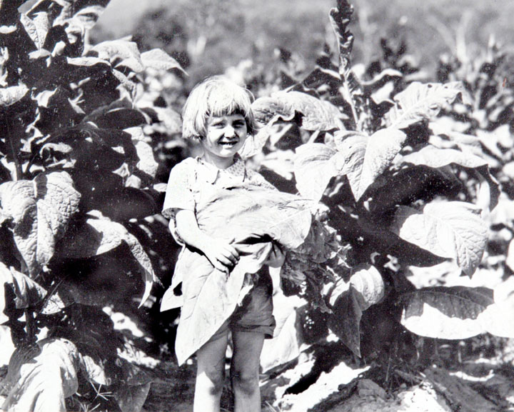 Квинсленд, 1938