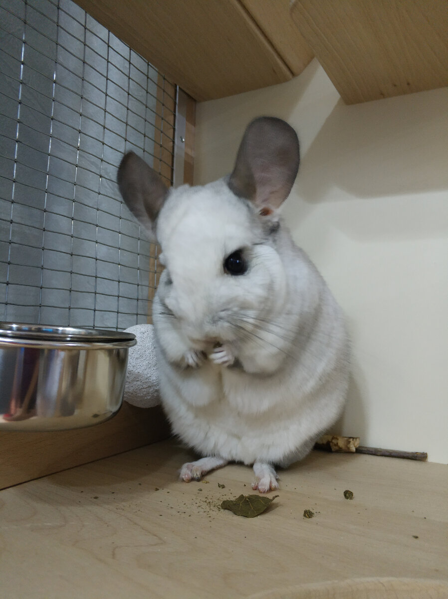 Вы читайте, читайте. А я пока поем.