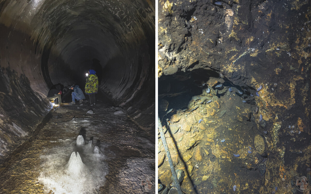 "Бесконечный-2" Нашли в зимней степи подземный тоннель и познакомились с его обитателями!