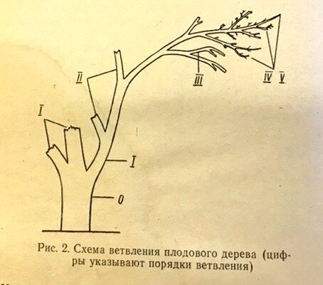 1 Морфология, словообразование, части речи