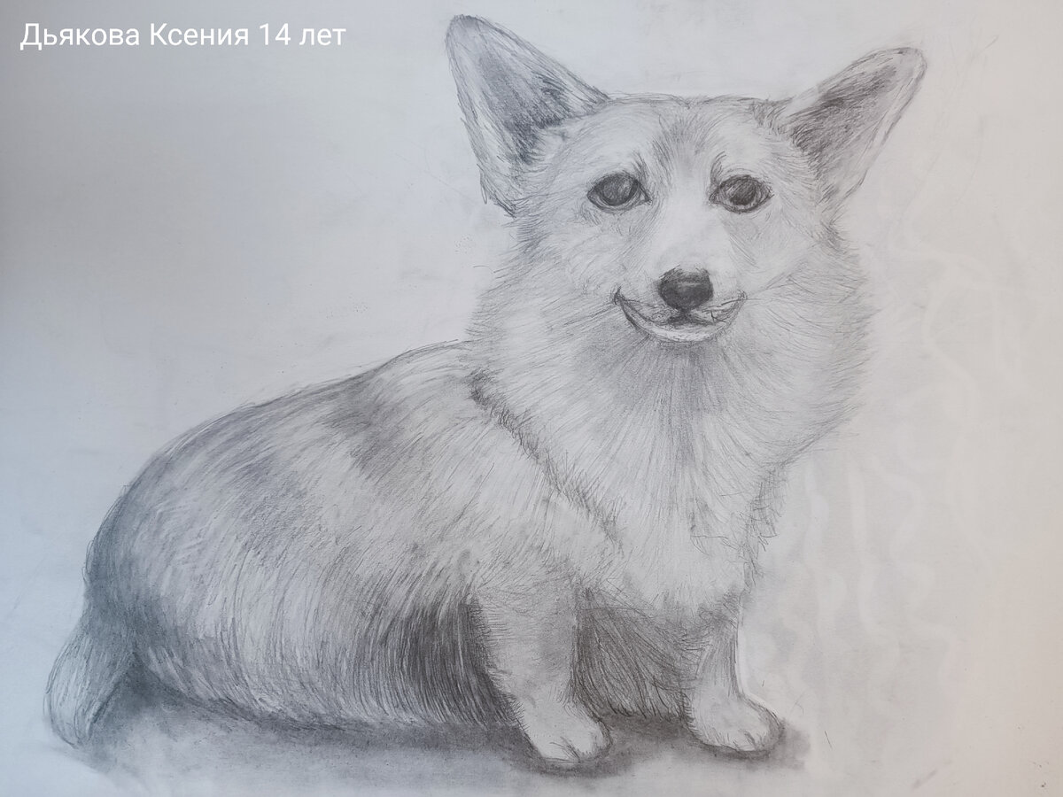 Рисунок ученицы художественной школы Колибри 
