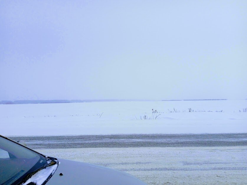 Кажется начинается метель...