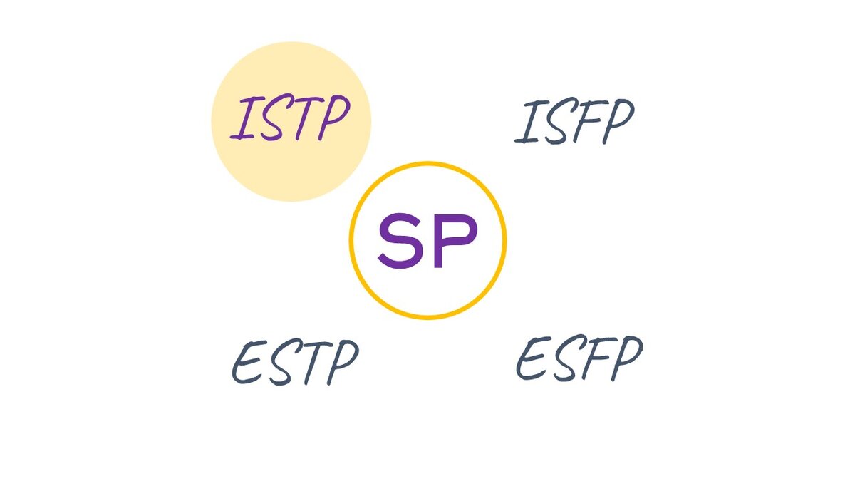 Мета-тип SP и его 4 вариации