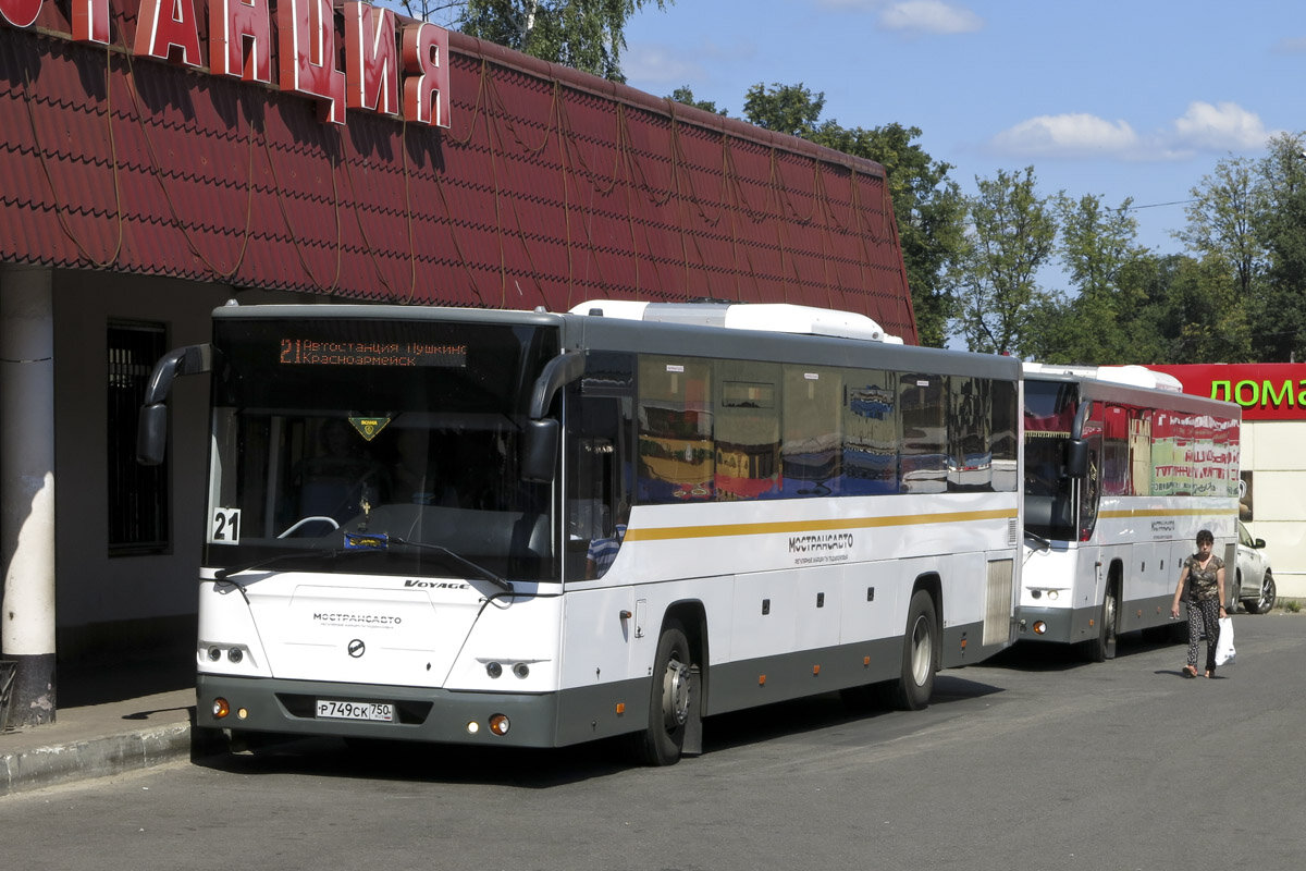 На маршруте №21 Пушкино-Красноармейск работает 18 автобусов большого класса.