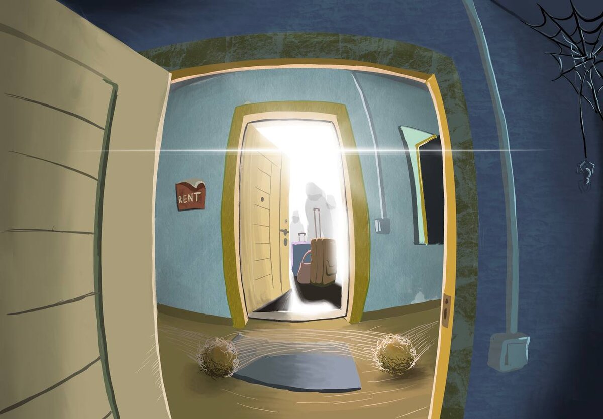 Хозяева уехали. А паучок заждался новых жильцов