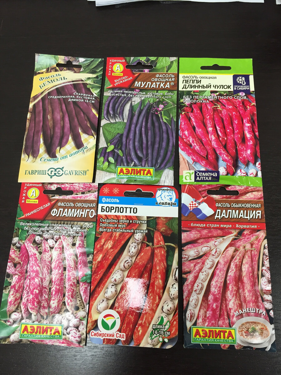 "Далмация" не спаржевая фасоль, но очень красивая.