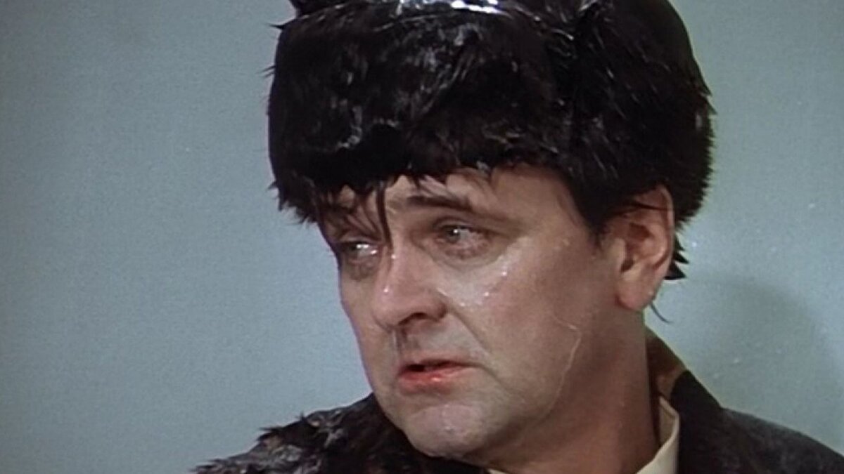 Ну как можно было отказать этим глазкам?