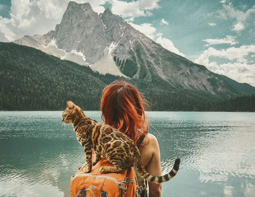 Яндекс фото