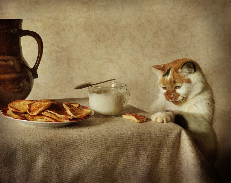 �������� ����: mavink.com