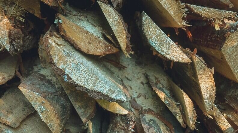     У мужчины не было сертификата, разрешающего провоз продукции через границу в избытке. Об этом рассказали в пресс-службе Россельхознадзора.