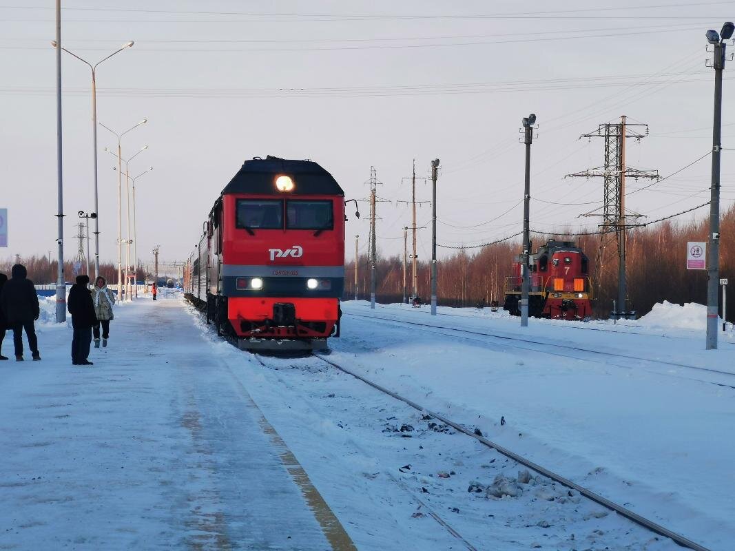    ФСБ сообщила о предотвращенной диверсии на железной дороге в Нижневартовске