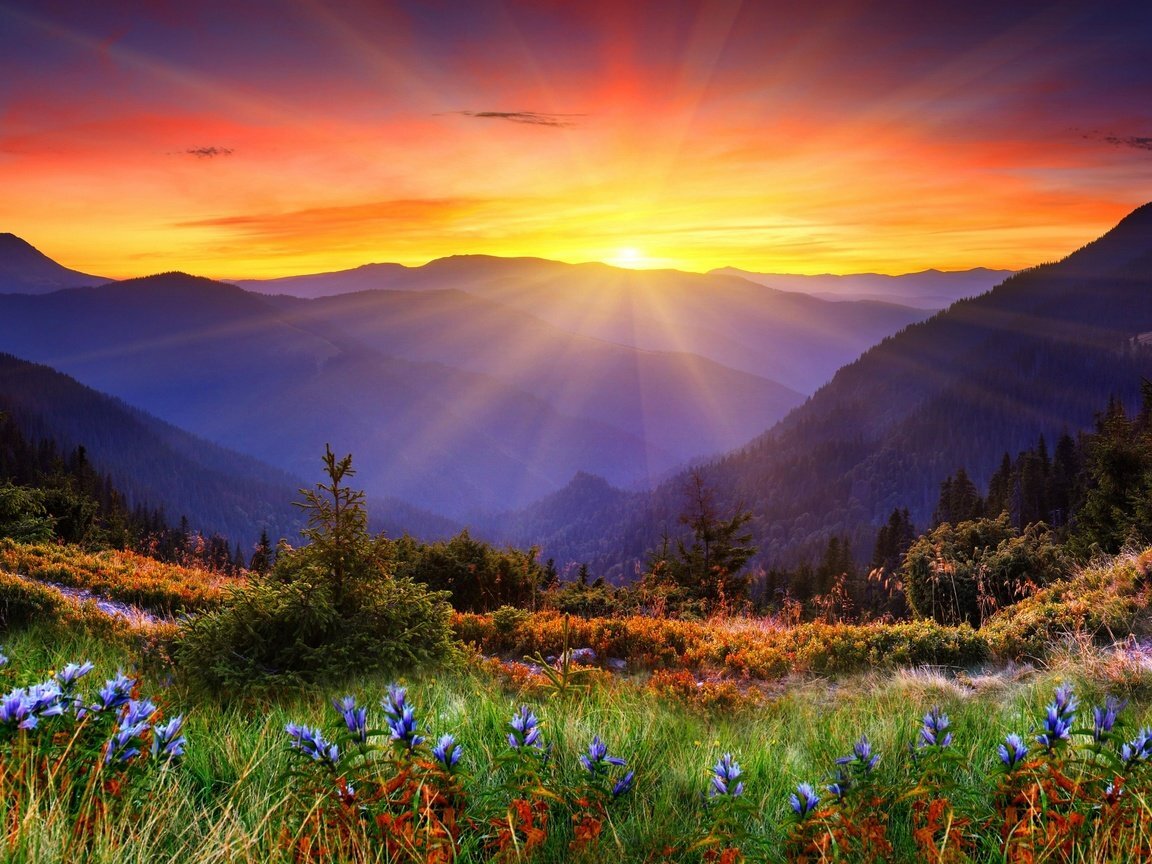 (В иллюстративных целях)