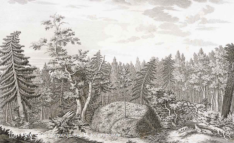 Гром-камень в лесу. Гравюра Я. Шлея по рисунку Ю. Фельтена. Источник: https://rusmir.media/2022/05/05/mednyyvsadnik