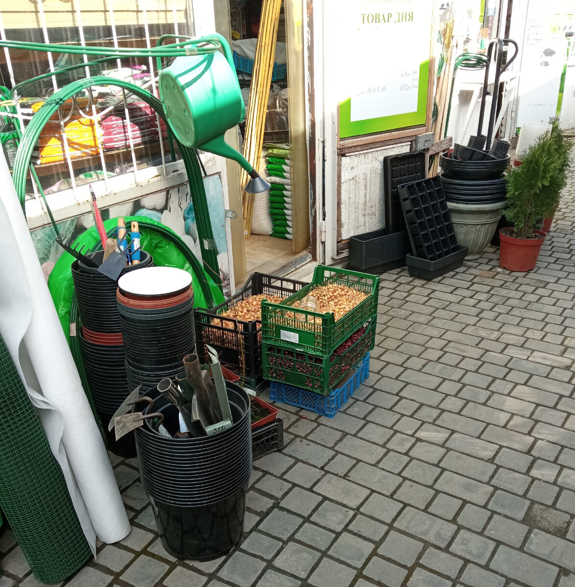 Магазин для огородников у нас на рынке. В центре внимания лук-севок в продаже "на банки". Фото автора.