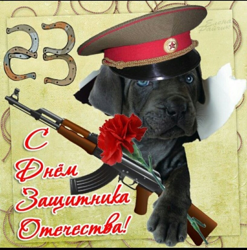 День защитника отечества приколы