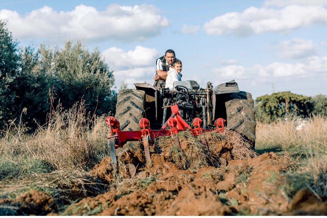 Мой работящий муж Янис и нашему сыну рассказывает, как ухаживать за оливами (фото из архива автора)