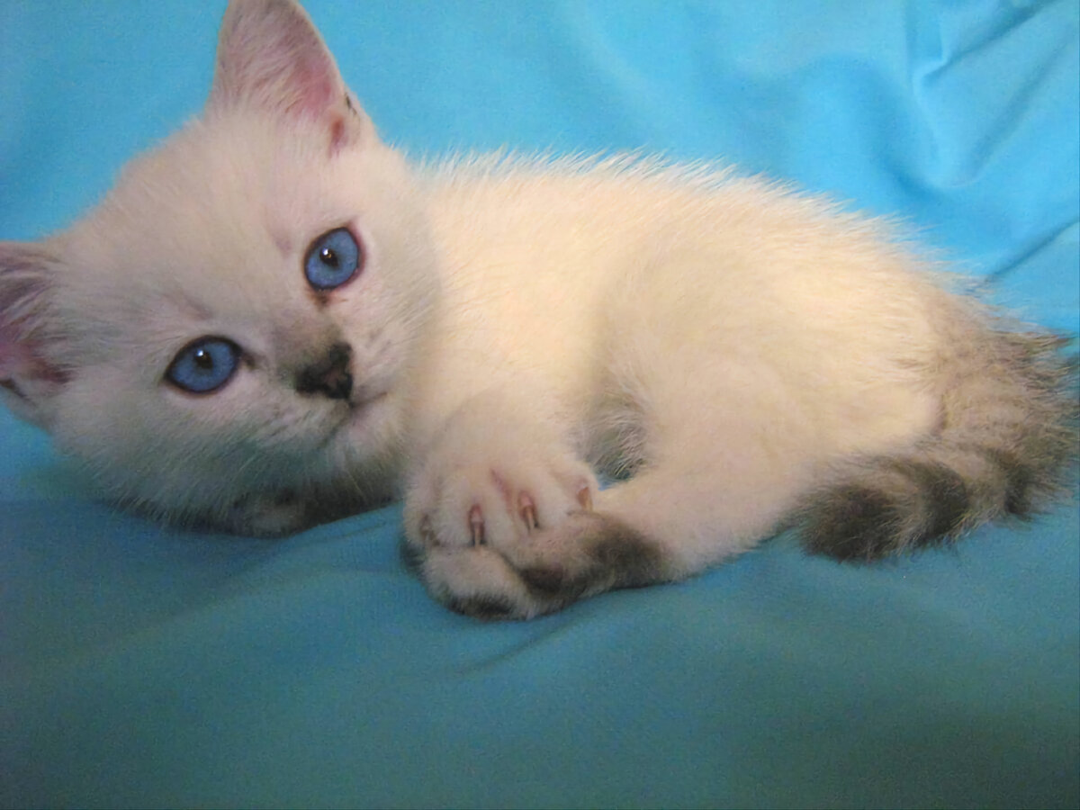 Фото взято из открытых источников интернета.