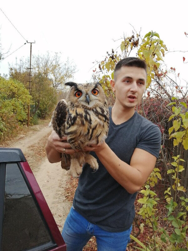 Фото автора. Любимый зять и филин.