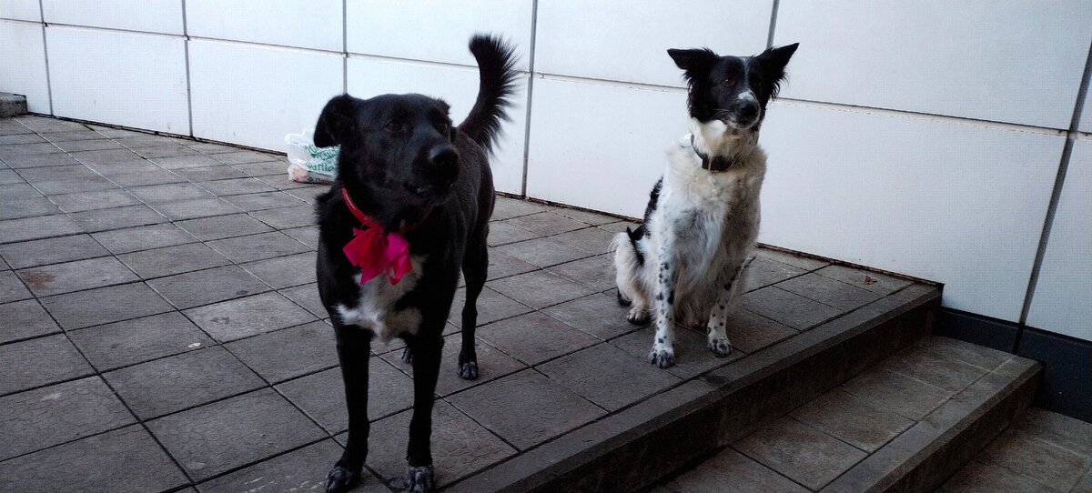  Рядом. Но вместе ли? Фото автора канала