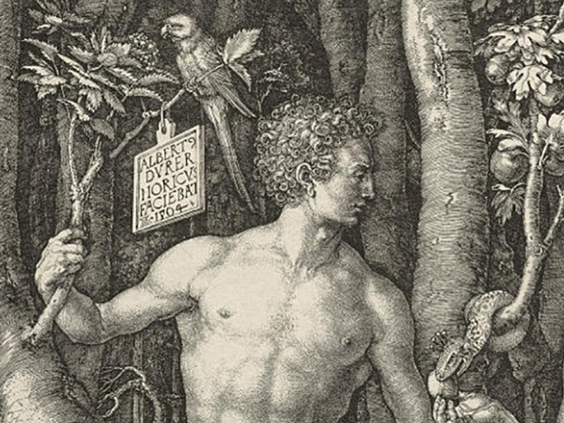 Альбрехт Дюрер. Гравюра «Адам и Ева», 1504. Фрагмент с Адамом.