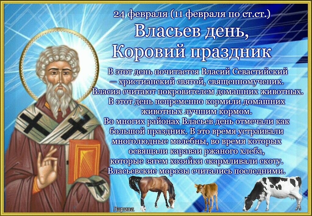 Приметы на 24 декабря 2023 года. 24 Февраля праздник. Власьев день. 24 Февраля народный календарь. 24 Февраля Власьев день коровий праздник