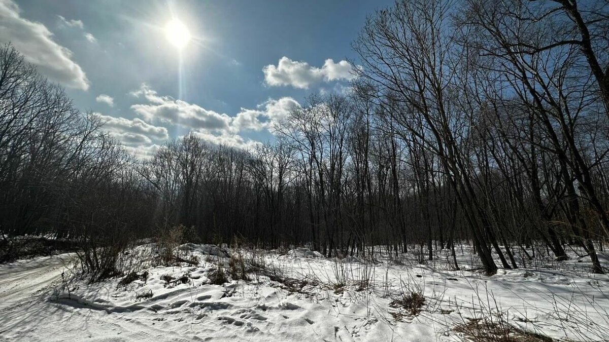     Самые интересные события пятницы — в обзоре «Восток-Медиа»