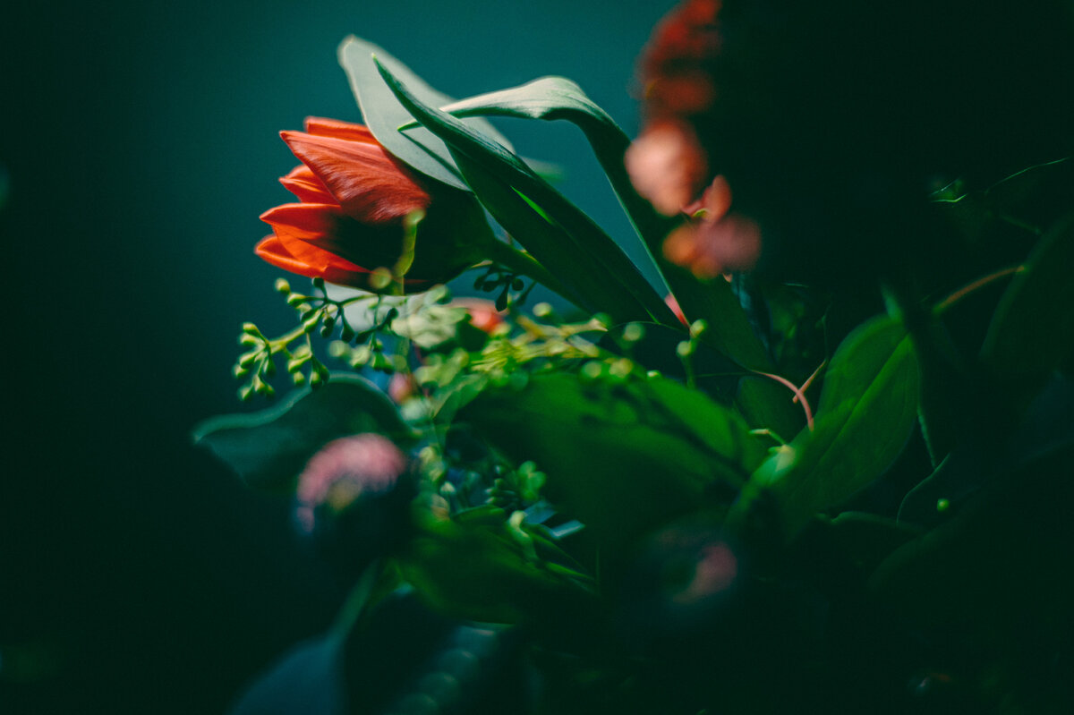 фото с сайта https://unsplash.com/