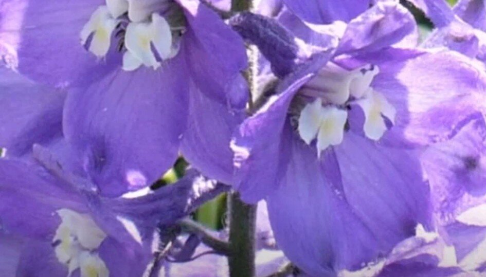 Снимок автора