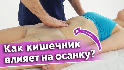 Осанка и кишечник человека – залог его здоровья и красоты. Какая связь между кишечником и осанкой?