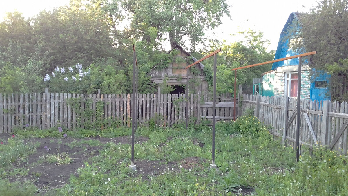 Соседский заброшенный участок 