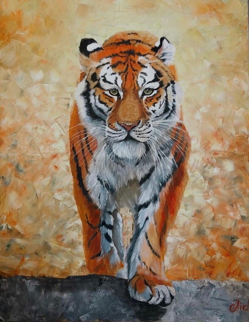 Школа рисования GRAFIKA Алматы