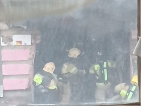     Фото: соцсети