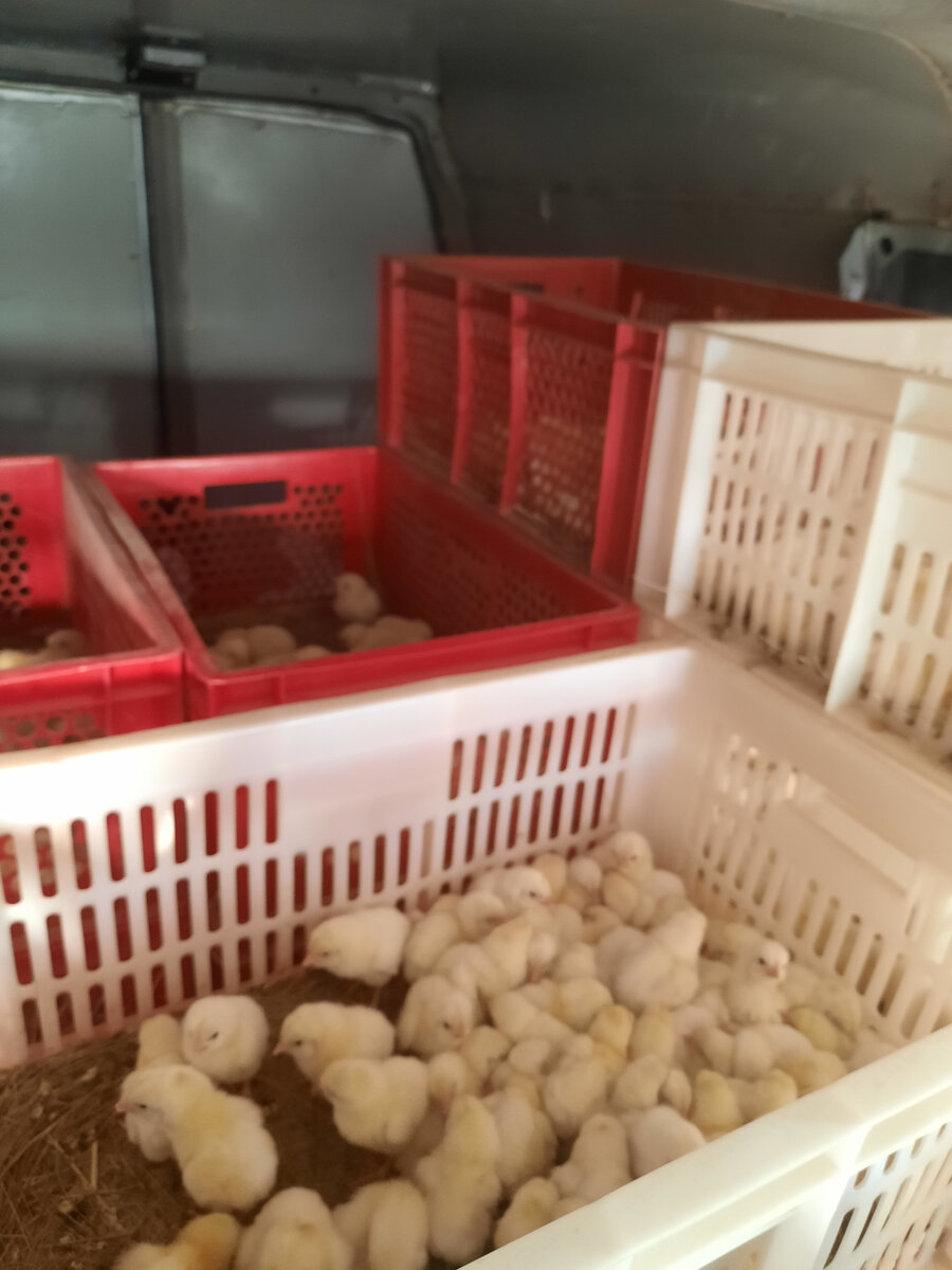 Установка от стенки до стенки