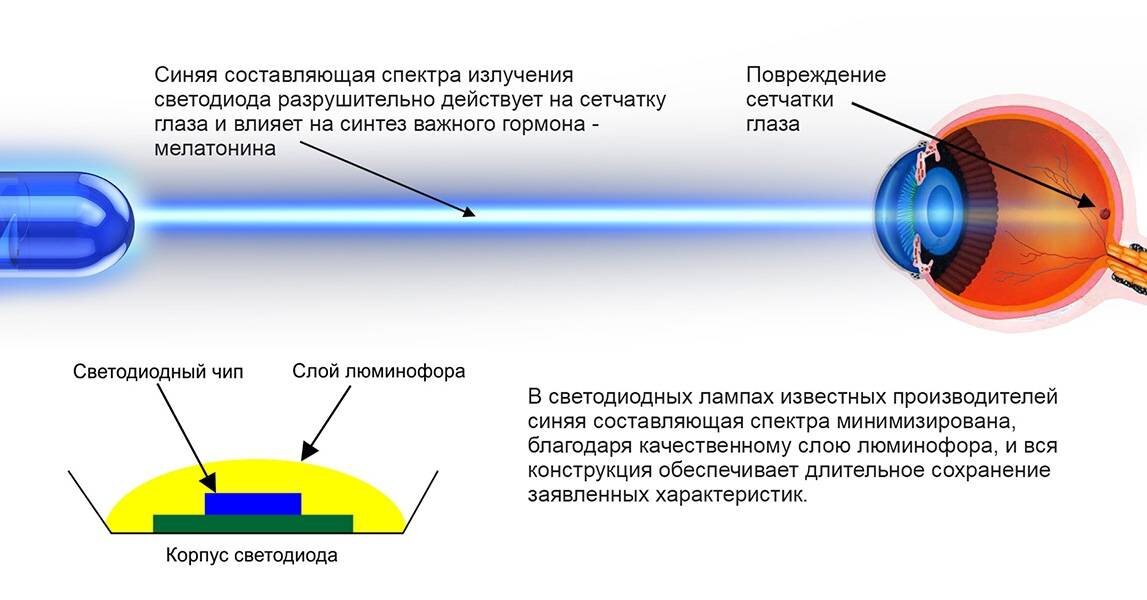Источники синего света. Спектр излучения ламп. Влияние синего света на глаза. Влияние освещения на зрение. Воздействие синего света на сетчатку глаза..