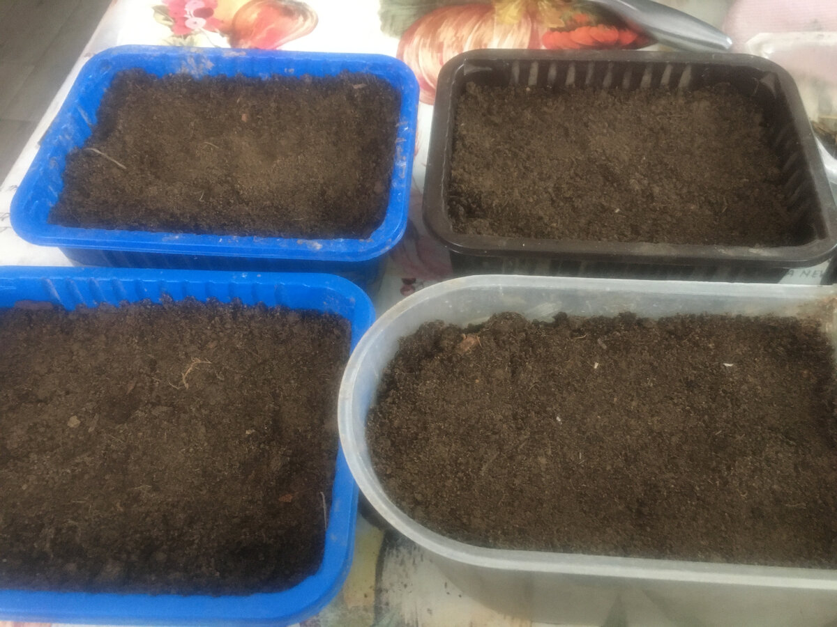 приготовила земельку