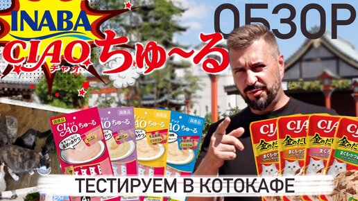 Как покорить кошачьи сердца?! / Обзор INABA CIAO / Влажный корм для кошек из Японии / Кошачий корм CIAO