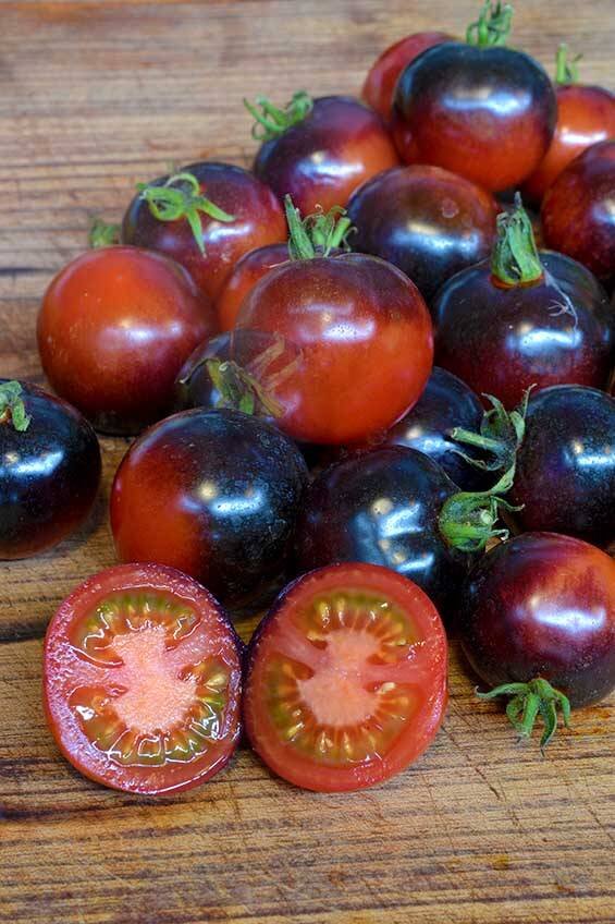 томат гречанка. индиго роуз томат описание. томат индиго роз. индиго роуз семена помидор. индиго черника сорт томата.