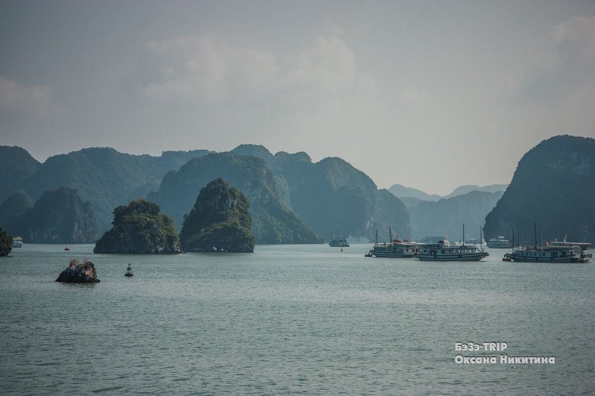 Зачем туристы за 100$ едут в то место, где когда-то десятки вражеских кораблей были посажены на колья во Вьетнаме?