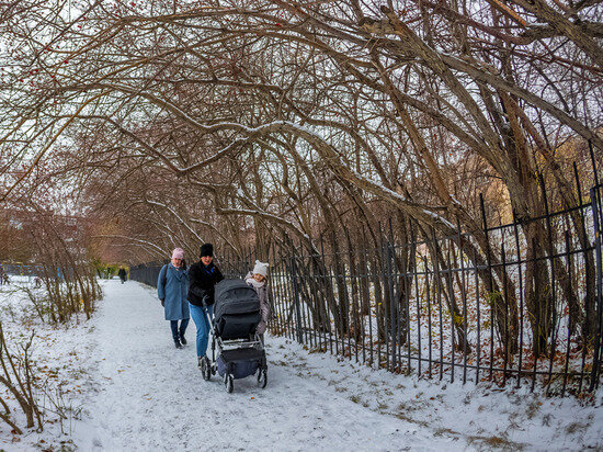     Фото: Олег Каргаполов