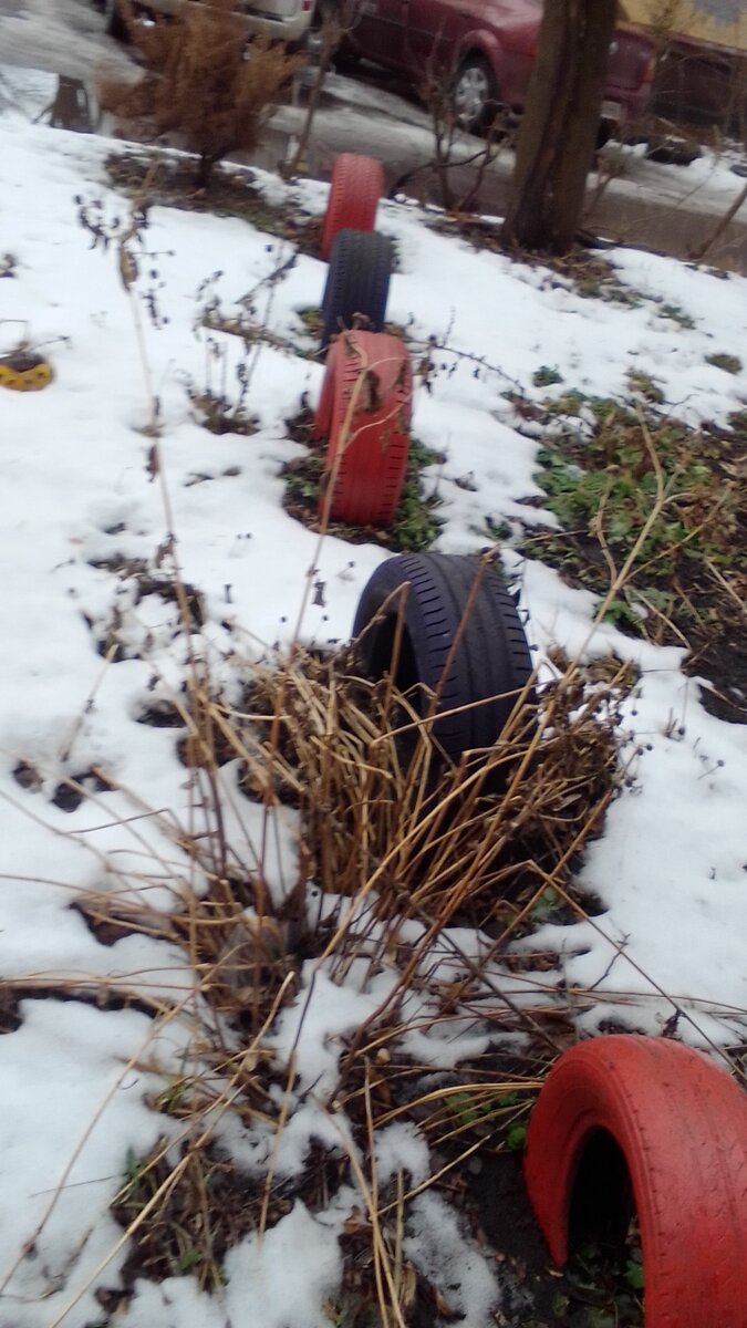 фото учение с печеньем