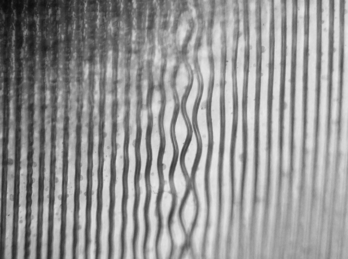 Макрофото записанного на пластинку свип-тона.