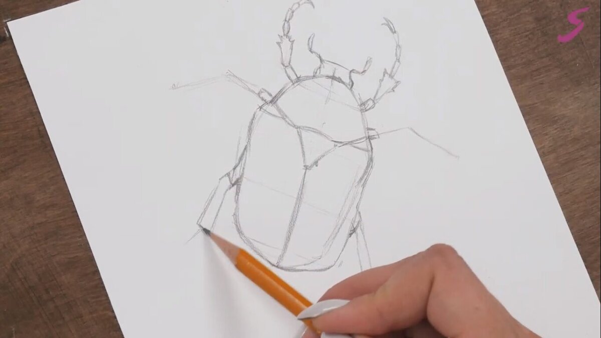 Как нарисовать жука | Художник Online | Дзен