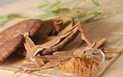 ганодерма или гриб реши