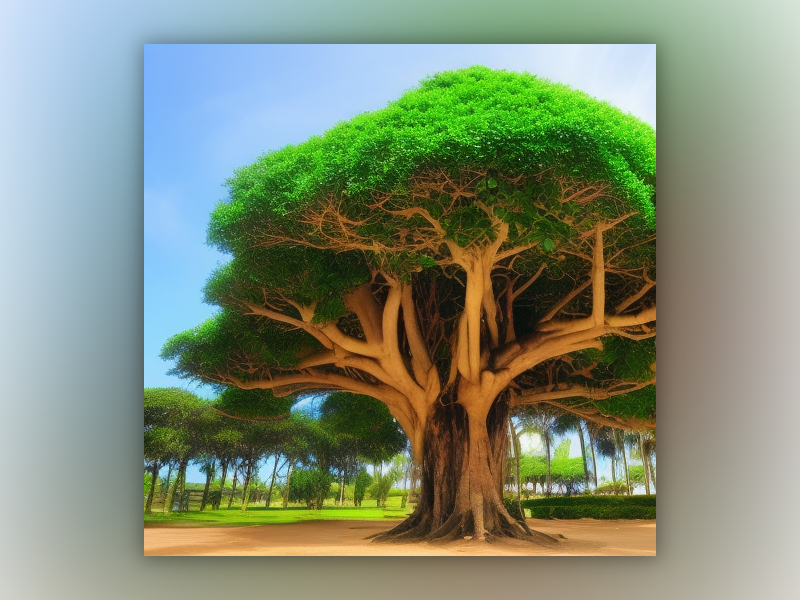 Баньяновое дерево. Лопоухий Макскс приглашает в гости!