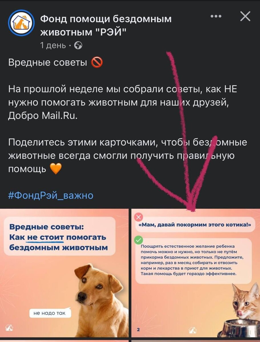 Вредные советы от фонда Рэй или как дилетанты,которые не являются экспертами вводят в заблуждение людей
